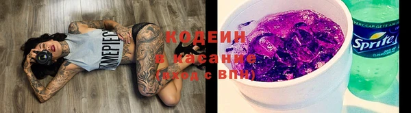 стаф Абаза