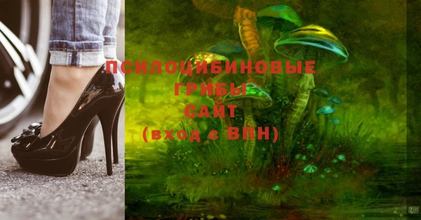 стаф Абаза