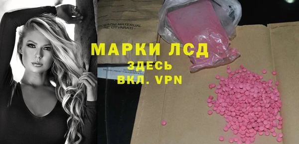 стаф Абаза