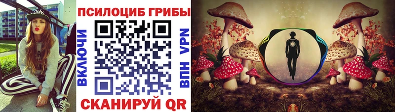 Галлюциногенные грибы GOLDEN TEACHER  купить закладку  Одинцово 